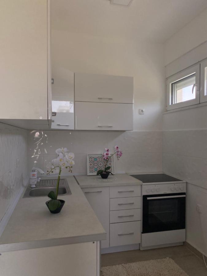 Rasi Luxury Apartments 울친 외부 사진